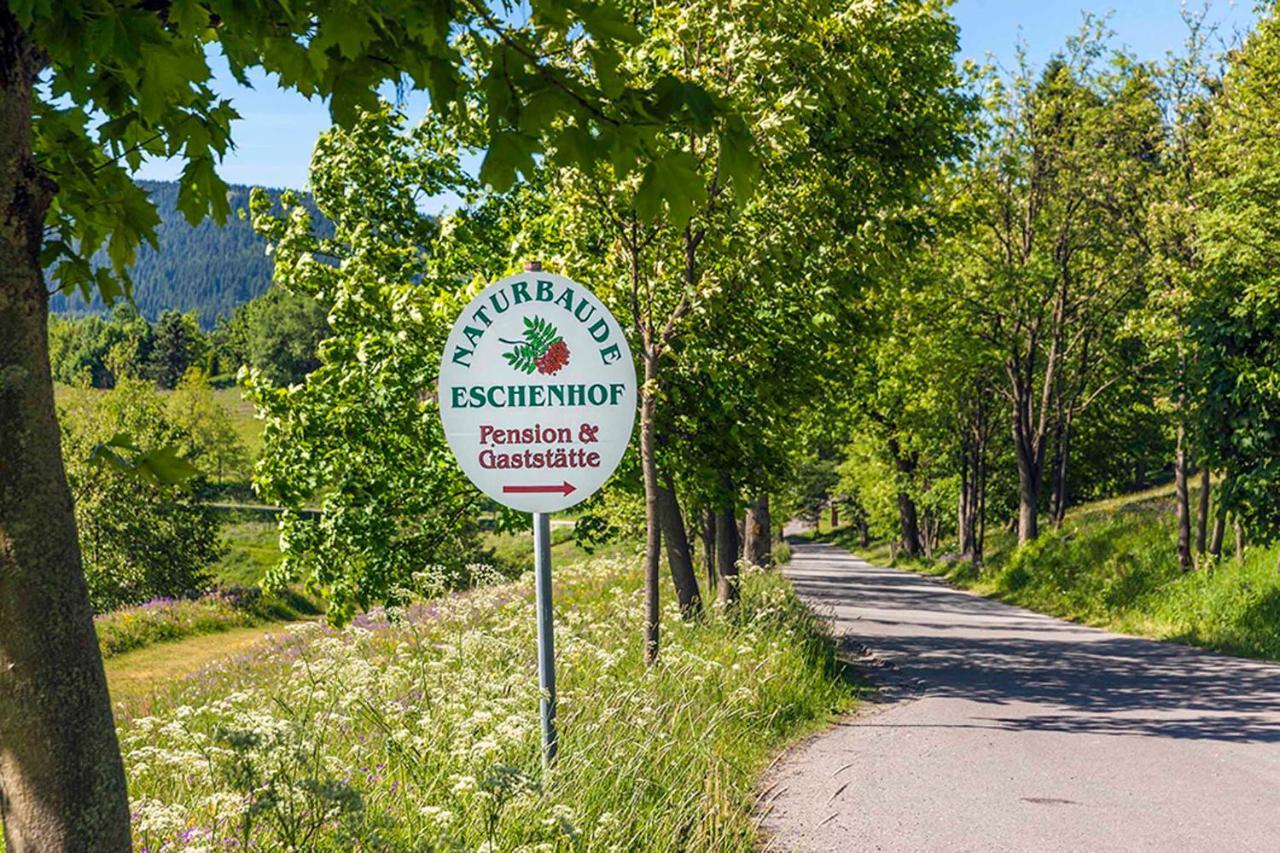 Pension Und Gaststaette Naturbaude Eschenhof 奥泊维森塔尔 外观 照片