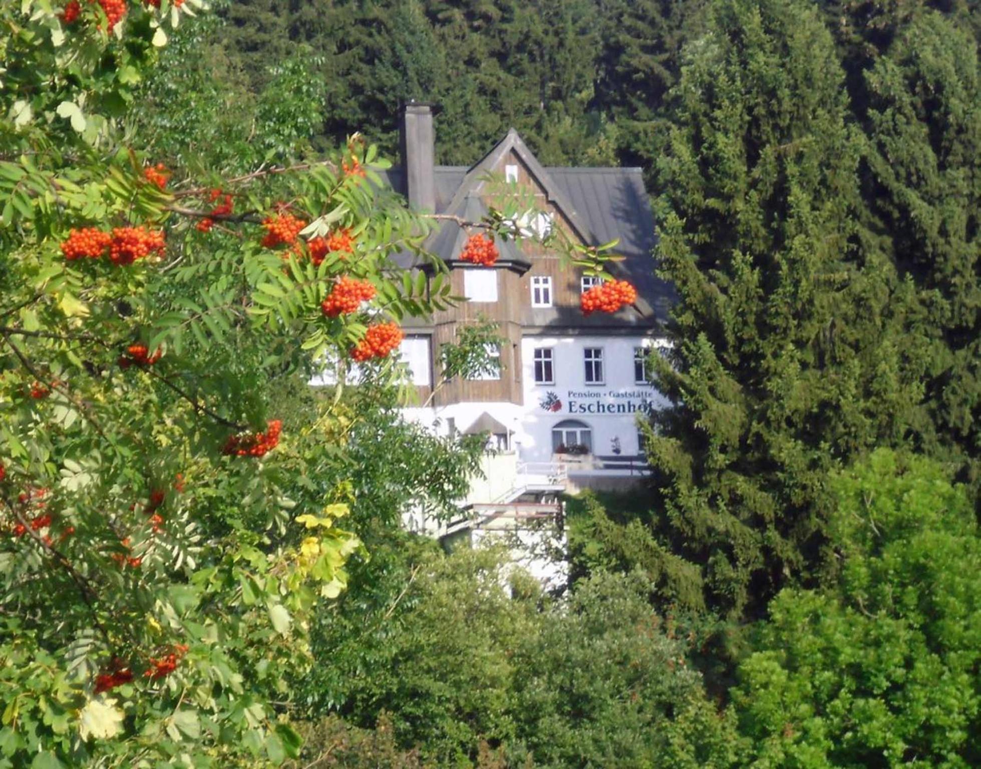 Pension Und Gaststaette Naturbaude Eschenhof 奥泊维森塔尔 外观 照片