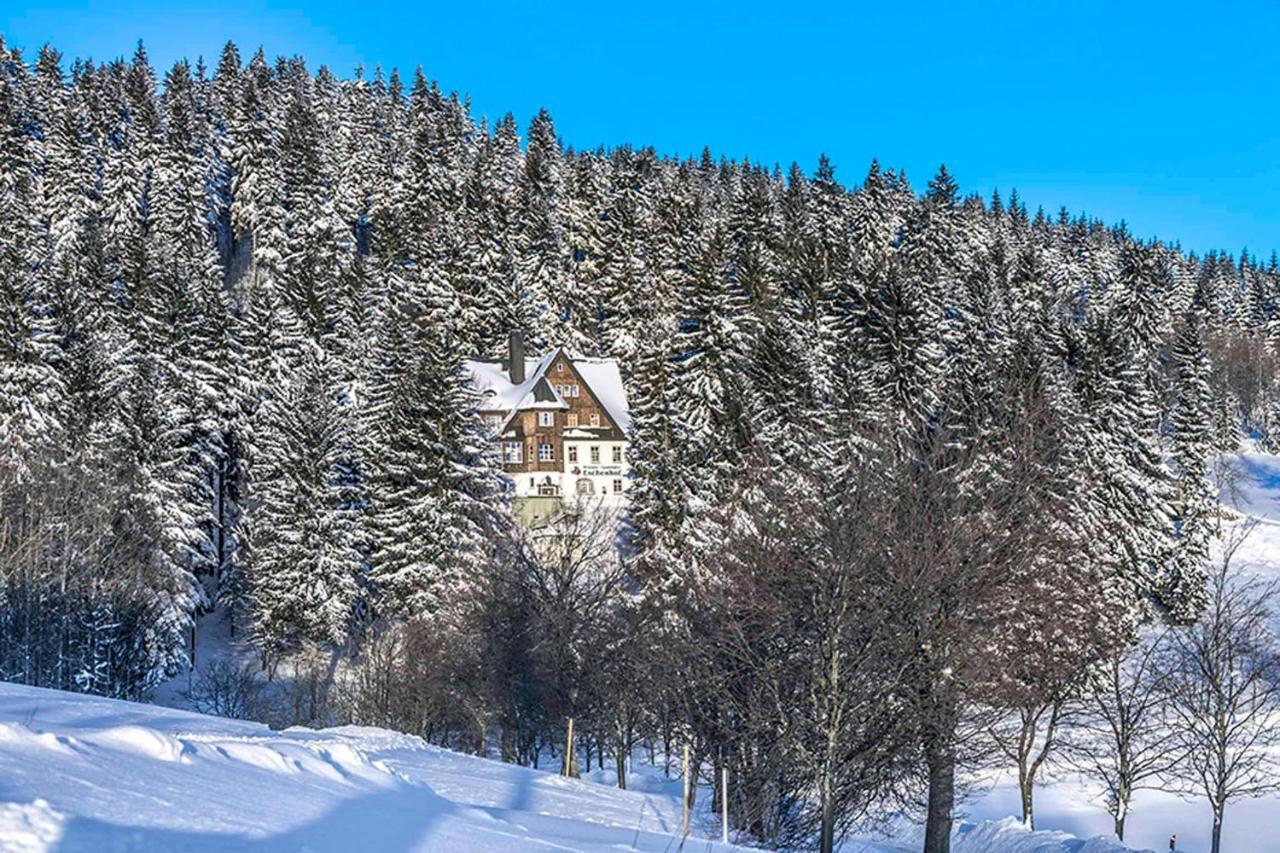 Pension Und Gaststaette Naturbaude Eschenhof 奥泊维森塔尔 外观 照片