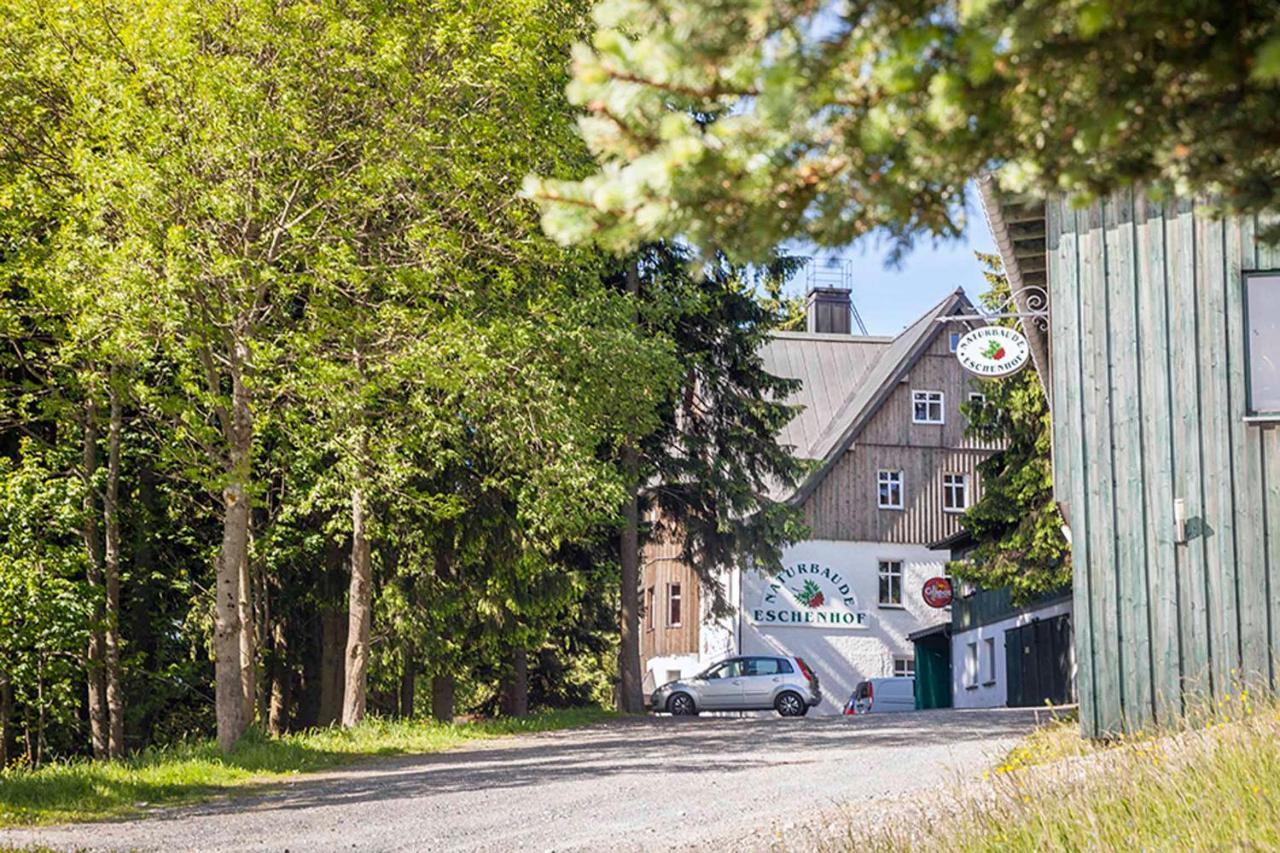 Pension Und Gaststaette Naturbaude Eschenhof 奥泊维森塔尔 外观 照片